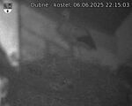 Capi_Dubne_20250606_221503.jpg