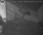 Capi_Dubne_20250606_222003.jpg