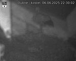 Capi_Dubne_20250606_223002.jpg