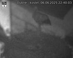 Capi_Dubne_20250606_224003.jpg