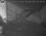 Capi_Dubne_20250606_224502.jpg