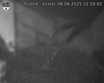 Capi_Dubne_20250606_225002.jpg