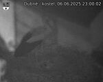Capi_Dubne_20250606_230002.jpg