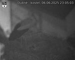 Capi_Dubne_20250606_230503.jpg