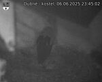 Capi_Dubne_20250606_234502.jpg