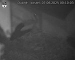 Capi_Dubne_20250607_001003.jpg