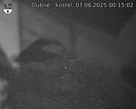 Capi_Dubne_20250607_001502.jpg