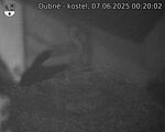 Capi_Dubne_20250607_002002.jpg