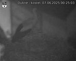 Capi_Dubne_20250607_002503.jpg