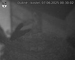 Capi_Dubne_20250607_003002.jpg