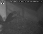 Capi_Dubne_20250607_004503.jpg