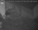 Capi_Dubne_20250607_005002.jpg