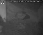 Capi_Dubne_20250607_010002.jpg