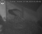 Capi_Dubne_20250607_010502.jpg