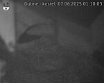 Capi_Dubne_20250607_011003.jpg