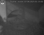 Capi_Dubne_20250607_011502.jpg