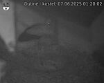 Capi_Dubne_20250607_012002.jpg
