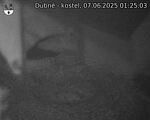 Capi_Dubne_20250607_012503.jpg