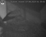 Capi_Dubne_20250607_013503.jpg