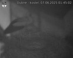 Capi_Dubne_20250607_014502.jpg