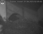 Capi_Dubne_20250607_020502.jpg