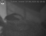 Capi_Dubne_20250607_021002.jpg
