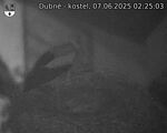 Capi_Dubne_20250607_022503.jpg