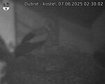 Capi_Dubne_20250607_023002.jpg