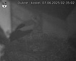 Capi_Dubne_20250607_023502.jpg