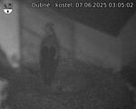Capi_Dubne_20250607_030502.jpg