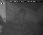 Capi_Dubne_20250607_031502.jpg
