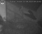 Capi_Dubne_20250607_041002.jpg