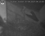 Capi_Dubne_20250607_041503.jpg