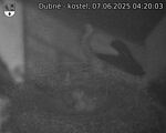 Capi_Dubne_20250607_042003.jpg