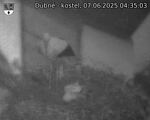 Capi_Dubne_20250607_043503.jpg
