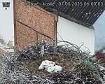 Capi_Dubne_20250607_060003.jpg