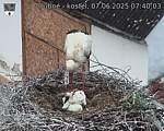 Capi_Dubne_20250607_074003.jpg