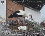 Capi_Dubne_20250607_084503.jpg