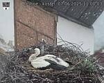 Capi_Dubne_20250607_110003.jpg