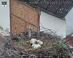 Capi_Dubne_20250607_115503.jpg