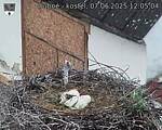 Capi_Dubne_20250607_120504.jpg