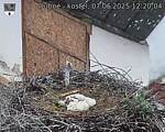 Capi_Dubne_20250607_122004.jpg