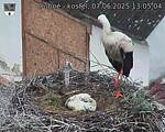 Capi_Dubne_20250607_130504.jpg