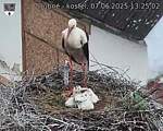 Capi_Dubne_20250607_132502.jpg