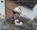 Capi_Dubne_20250607_143504.jpg