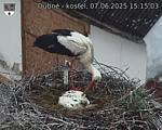 Capi_Dubne_20250607_151503.jpg
