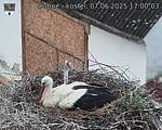 Capi_Dubne_20250607_170003.jpg