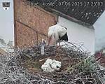 Capi_Dubne_20250607_172503.jpg