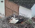 Capi_Dubne_20250607_173002.jpg