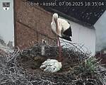 Capi_Dubne_20250607_183504.jpg